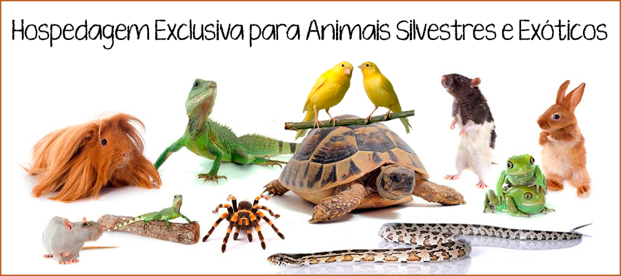 gallery/hospedagem_animais_exoticos_paraiso_silvestre